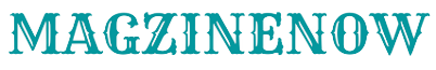 MN Logo removebg preview