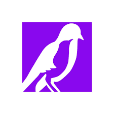 Mockingbird 